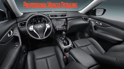 Professional Vehicle Detailing Professional Vehicle Detailing